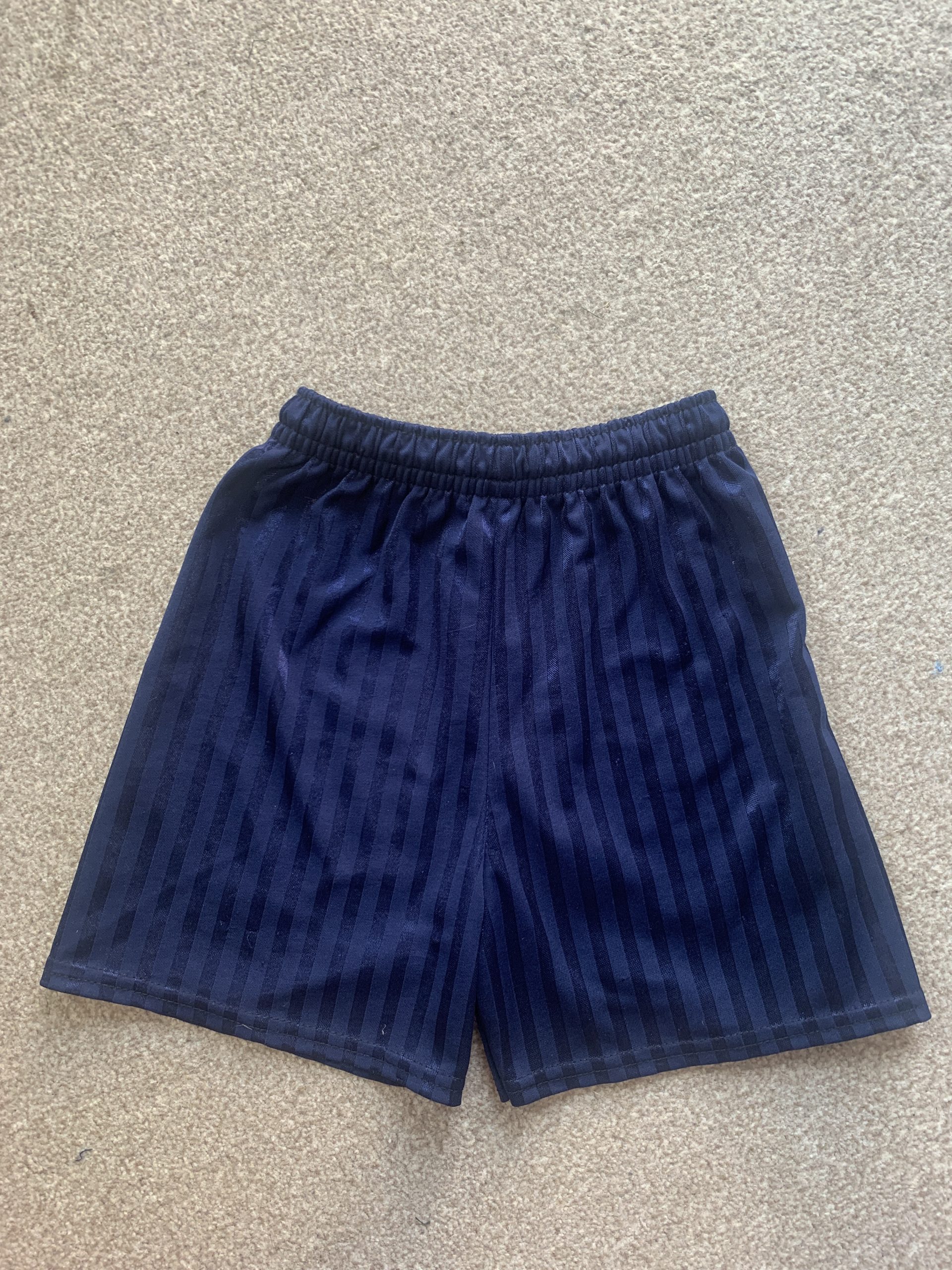 PE Shorts (Navy)
