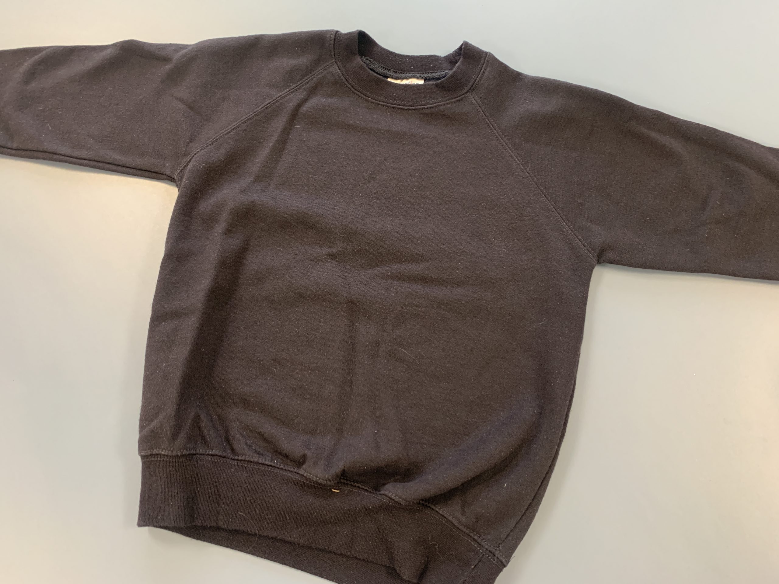 PE Sweatshirt (No Logo)